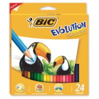 Lapices de colores x24 - BIC