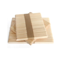 DISTRITOPO - 2025-01-10T103604.134 Palito helado natural - CBX