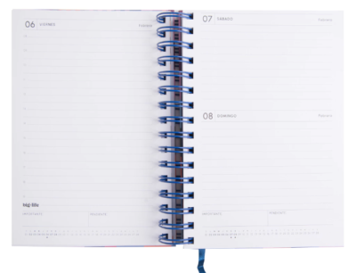 Agenda Retro Pastel Cerezas Día por Página 10X15 cm 2026