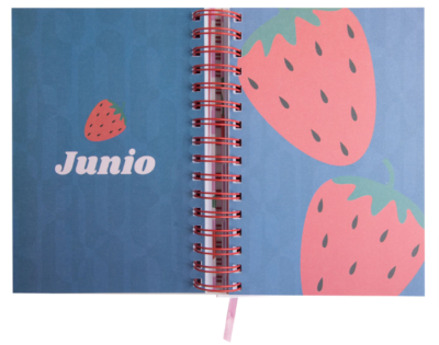 Agenda Retro Pastel Cerezas Día por Página 10X15 cm 2026