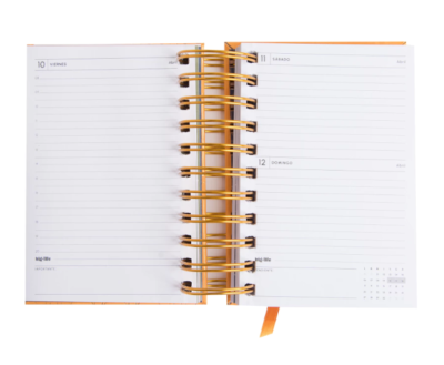 Agenda Indie Mostaza Día por Página 10x15cm 2026