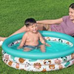 Imagen anterior del producto