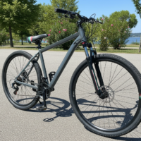 Bicicleta rodado 29 FIAT500
