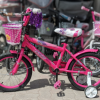 Bicicleta Rodado 16 Princesa
