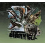 Imagen anterior del producto