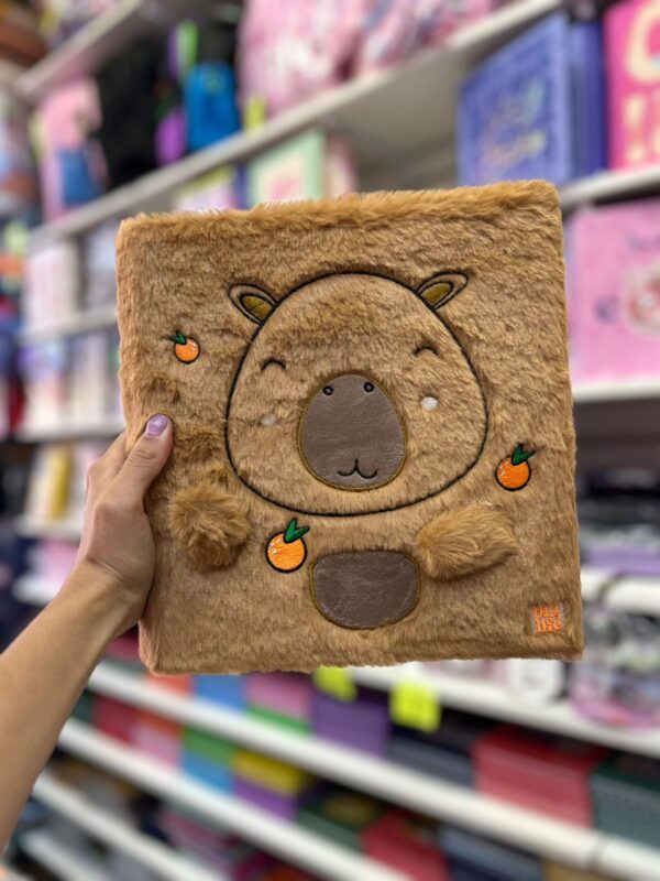 Carpeta 3x40 Carpincho-BIGLIFE