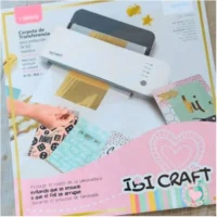 CARPETA DE TRANSFERENCIA P-FOIL 22*31 cm
